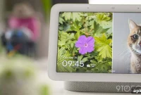 Google Home Display Appears as Potential Nest Hub Replacement