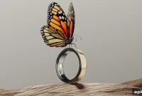 Thinner Oura Ring 5 adds live activity tracking, $50 hike