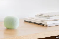 Google Home Jade Green Delayed to August – How to Get One Now