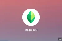 Snapseed 4.1 for Android Brings Expanded RAW Support
