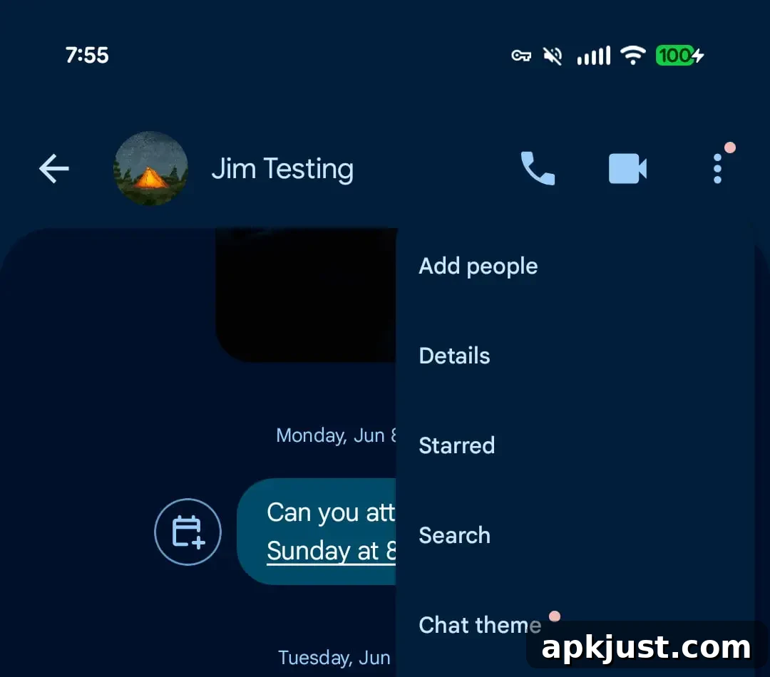Chat theme preview