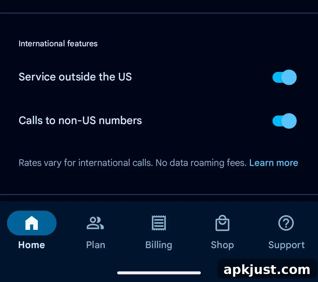 Google Fi mobile data outage notification