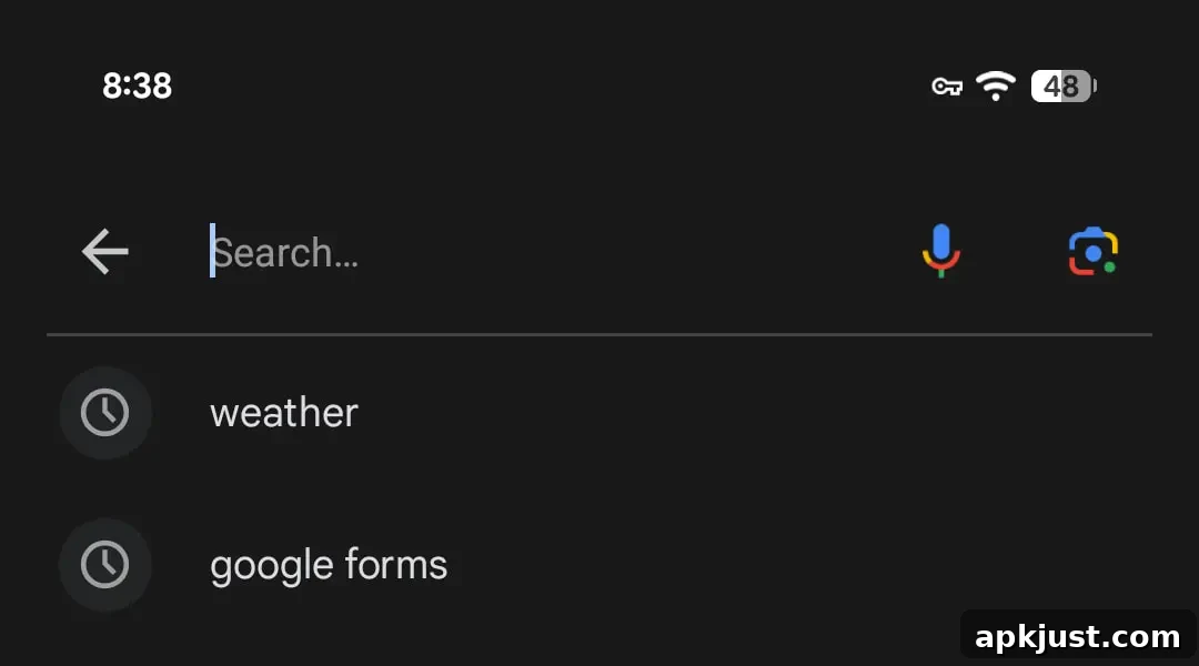 Google app search bar, older style