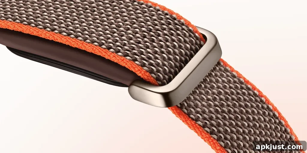 Fitbit Air image 3