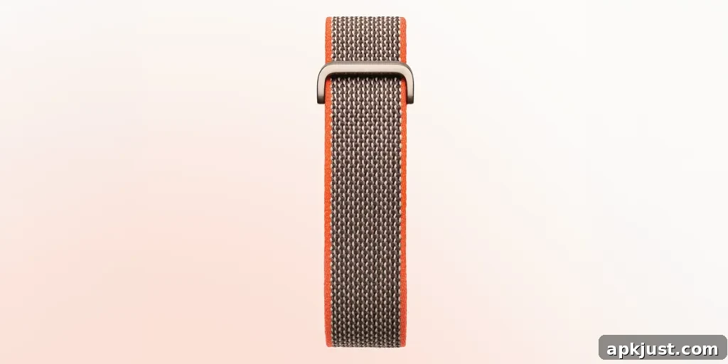 Fitbit Air image 4