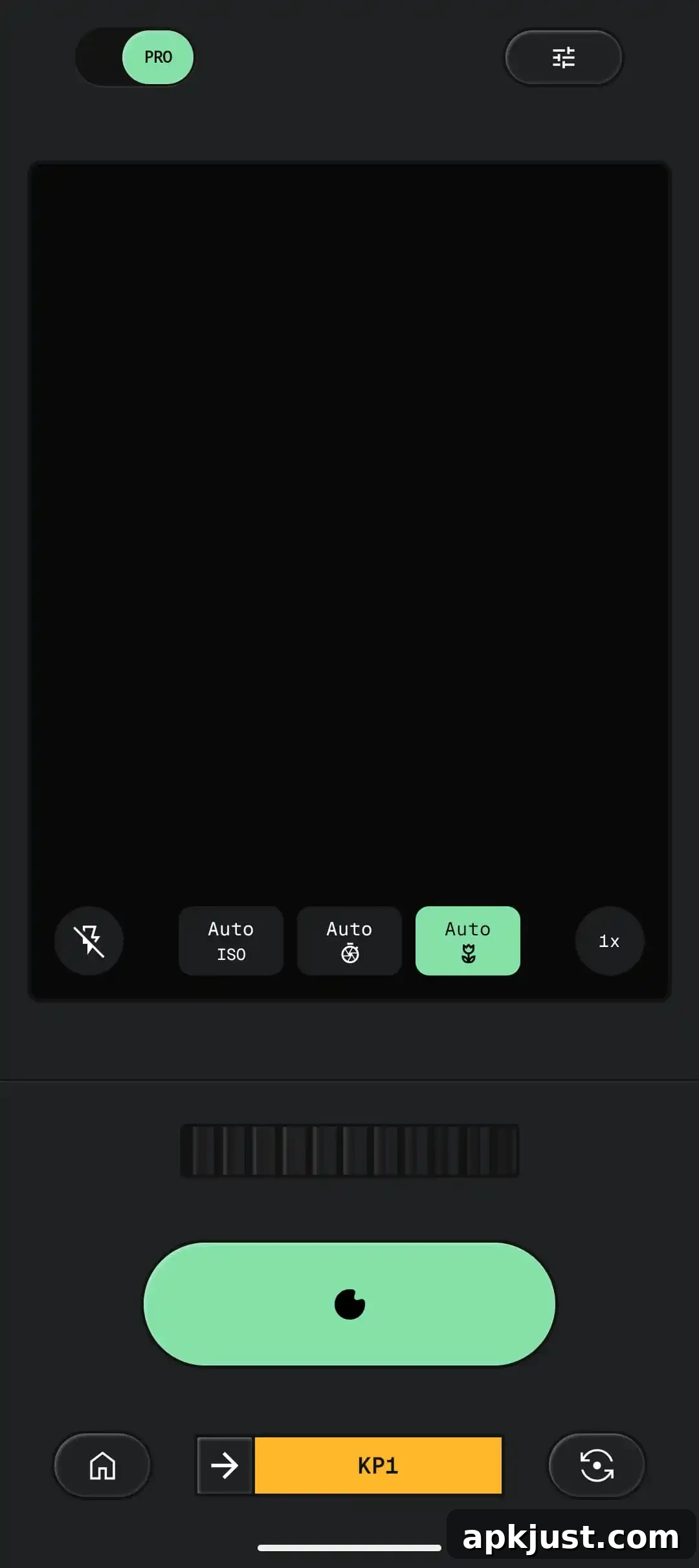 Snapseed Camera preview