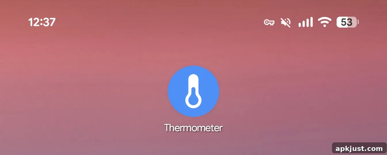 Old Pixel Thermometer icon
